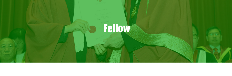 Fellows